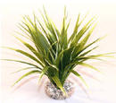 Augalas plastikinis Oasis 20cm